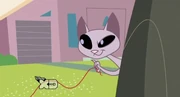 Kid Vs Kat 1-8-2 (53)