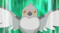 EP667 Pidove enojado.jpg