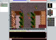Widgets in Flash Client