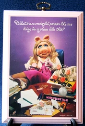 Plaquepiggy01