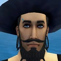 Turquoise Brow Spike
