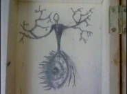 Box1-8
