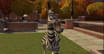 Zebra 2