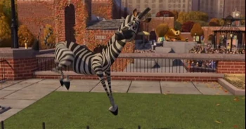 Zebra 4