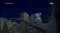 Koala 1.jpg