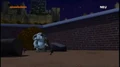 Koala 2.jpg