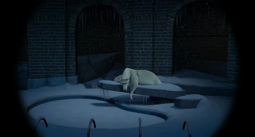 Polar Bear 1