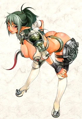 Echinda profile