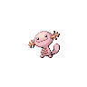 Wooper E variocolor
