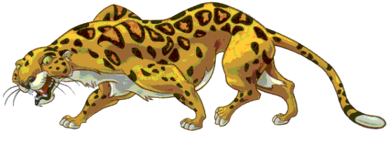 Sabor The Leopard