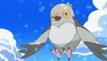 EP662 Pidove de Ash.png