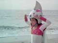 Koreanchichi2