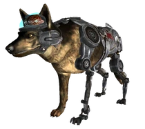 FNVRex