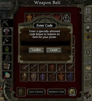 Enter Code