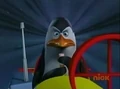 Kowalski in a plane.jpg