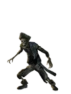Potco skeleton d