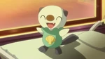 EP668 Oshawott feliz