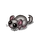 Grey Chinchilla