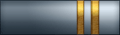 Sleeve insignia.