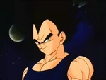 VegetaFBSep222-01