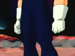 VegetaFBSep222-03