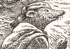 Groo.jpg