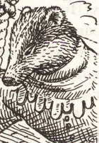Sagaxus