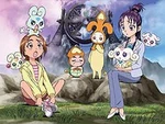 Splashstarmovie