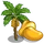 Bahri Date Tree-icon