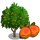 Golden Apricot Tree-icon