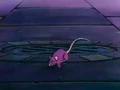 BojackRat