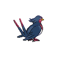 Swellow espalda G5