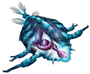 Leviathan Infant CMDL