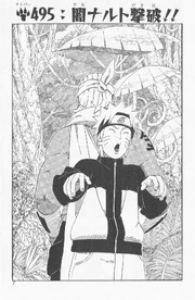 Chapter 495