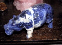 Sodalite.hippo.arp.750pix