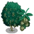 White Walnut Tree-icon.png