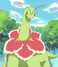 Casey Meganium