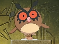 http://images3.wikia.nocookie.net/__cb20101110045621/es.pokemon/images/7/74/EP455_Hoothoot.png