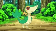 EP669 Snivy de Ash