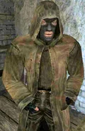 Trenchcoatbrown