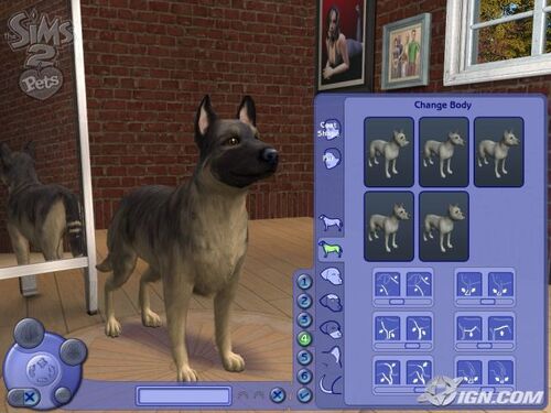 Sims Pet Money Cheat