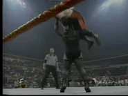 Mark Henry Vader