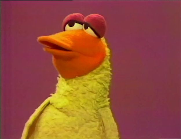 HickoryDickoryDuck