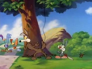 18wile road runner