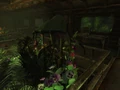 FalloutNV-Sporeplant.png