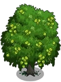 Arjuna2-icon