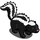 Skunk