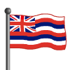 Hawaii Flag-icon