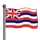 Hawaii Flag-icon