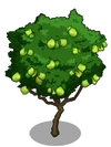 Guava2-icon